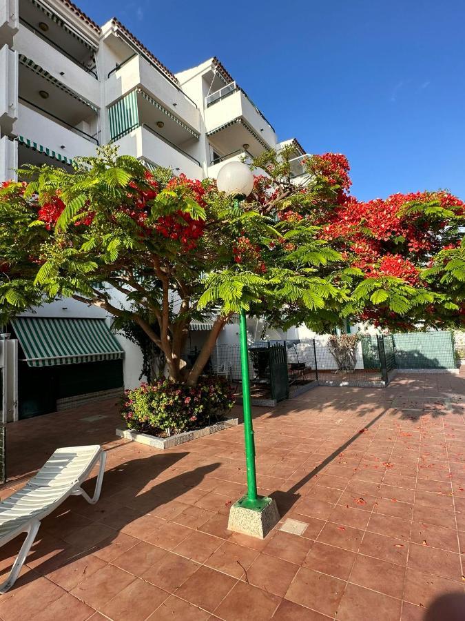 Maspalomas San Bartolomé 外观 照片