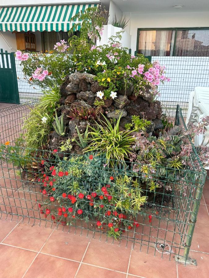 Maspalomas San Bartolomé 外观 照片